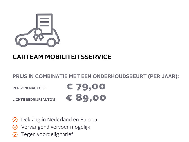 Carteam Autoservice Hem